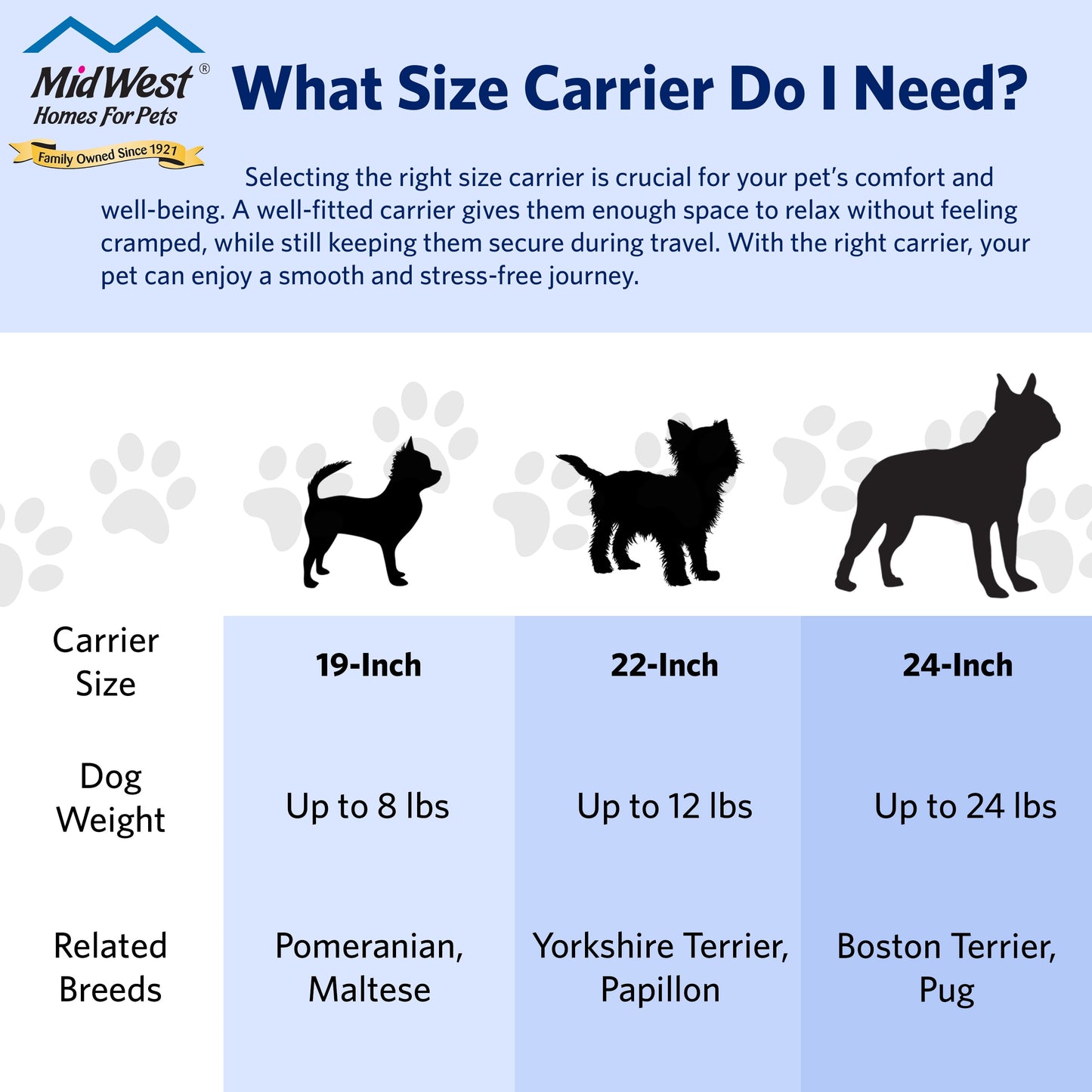 19 Inch Spree Travel Pet Carrier for Dog or Cat with Steel Door, Blue