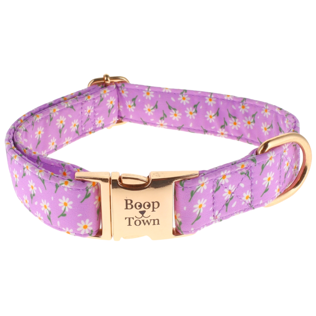 Dog Collars