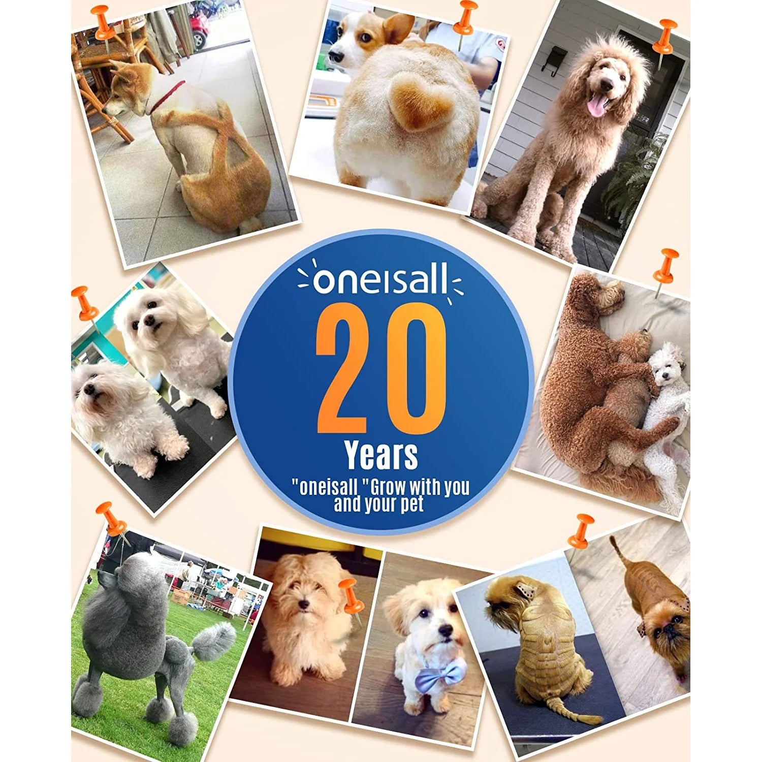 N5 Dog Clippers/Dog Paw Trimmer with Double Blades 2 in 1 Quiet Dog Grooming Clippers/Cordless 2 Speed Small Pet Hair Trimmers for Dog'S Hair around Paws, Eyes, Ears, Face, Rump (White)