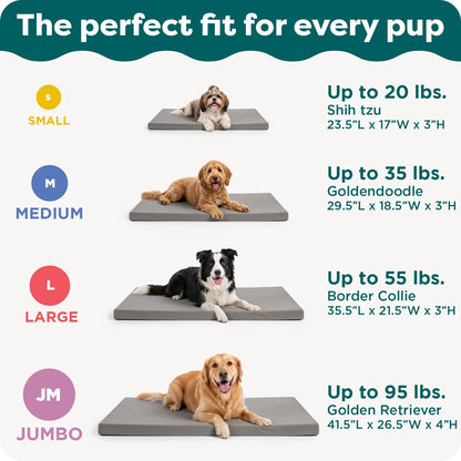 (2 Pack)  Pet Products Restful Dreamer Medium Orthopedic Foam Deluxe Crate Mat, Gray