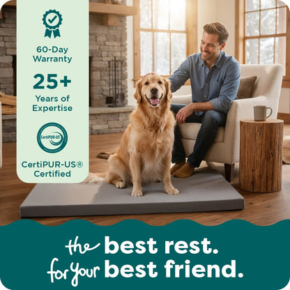 (2 Pack)  Pet Products Restful Dreamer Medium Orthopedic Foam Deluxe Crate Mat, Gray