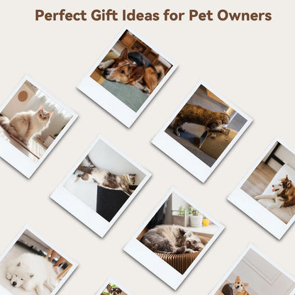 Cat & Dog Grooming Brush – Self-Cleaning Slicker Brush for Shedding, Removes Loose Fur & Tangles, Gentle & Skin-Friendly, Perfect for All Coat Types – Gray