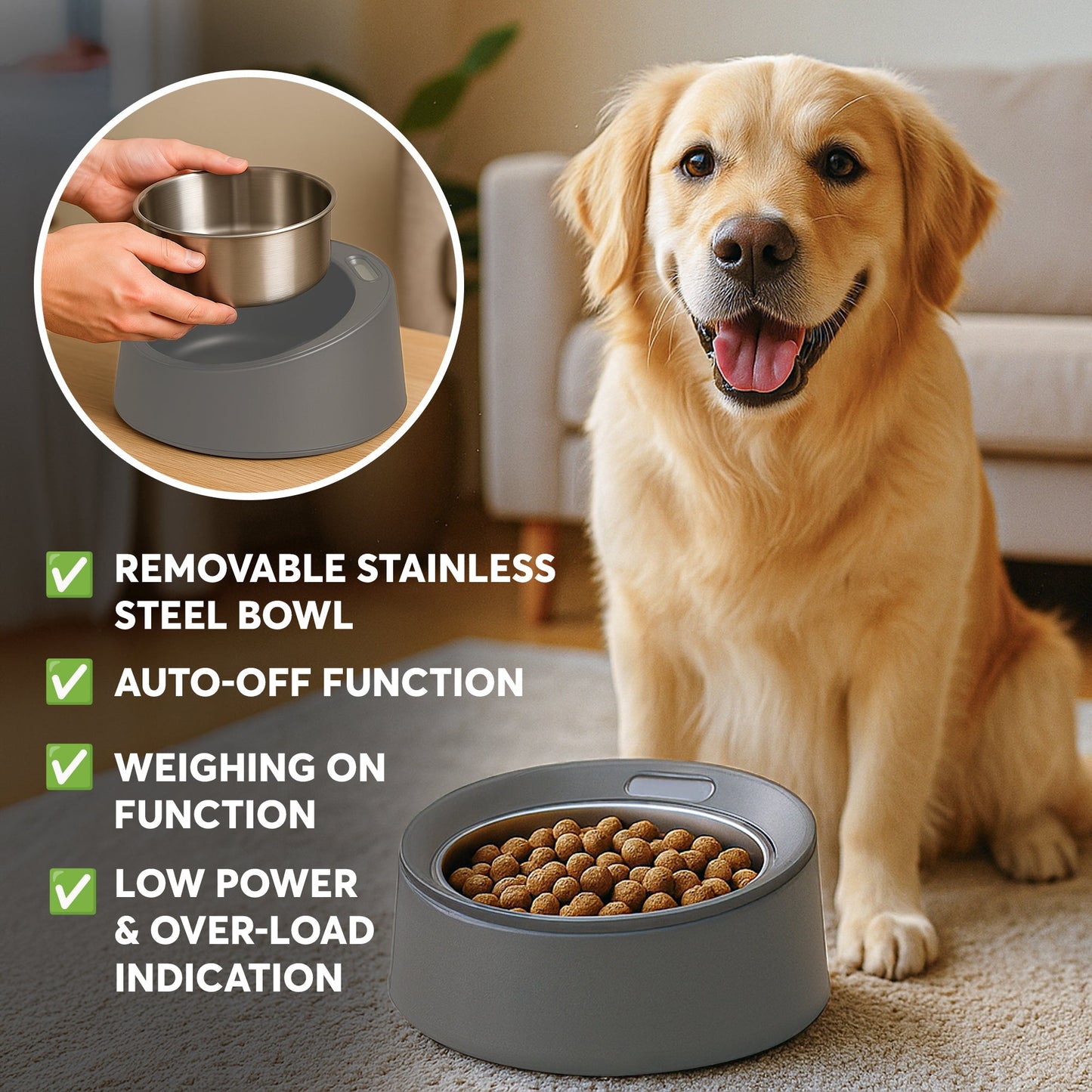 Dog Food Scale