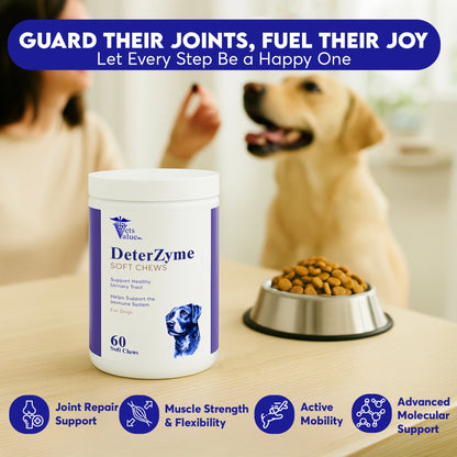 DeterZyme Stool Eating Deterrent for Dogs – 60 Soft Chews – Helps Discourage Stool Consumption – with Digestive Enzymes, Prebiotics, and Natural Herbal Blend – Supports Gut Health & Breath Freshening