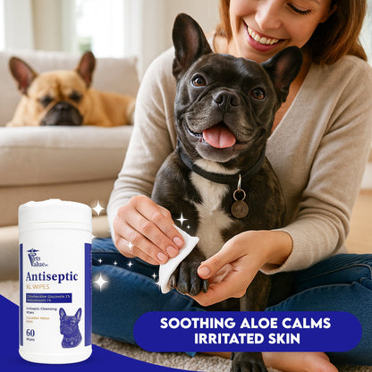 Extra Large Pet Wipes for Dogs & Cats – Hypoallergenic, Deodorizing Grooming Wipes for Paws, Butt, Ears & Eyes – Aloe & Vitamin E for Sensitive Skin – Travel-Friendly Cleaning (60ct, Made in USA)
