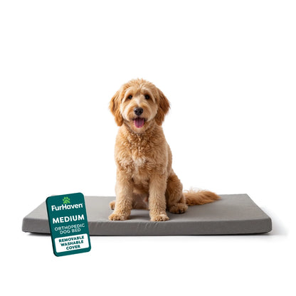 (2 Pack)  Pet Products Restful Dreamer Medium Orthopedic Foam Deluxe Crate Mat, Gray