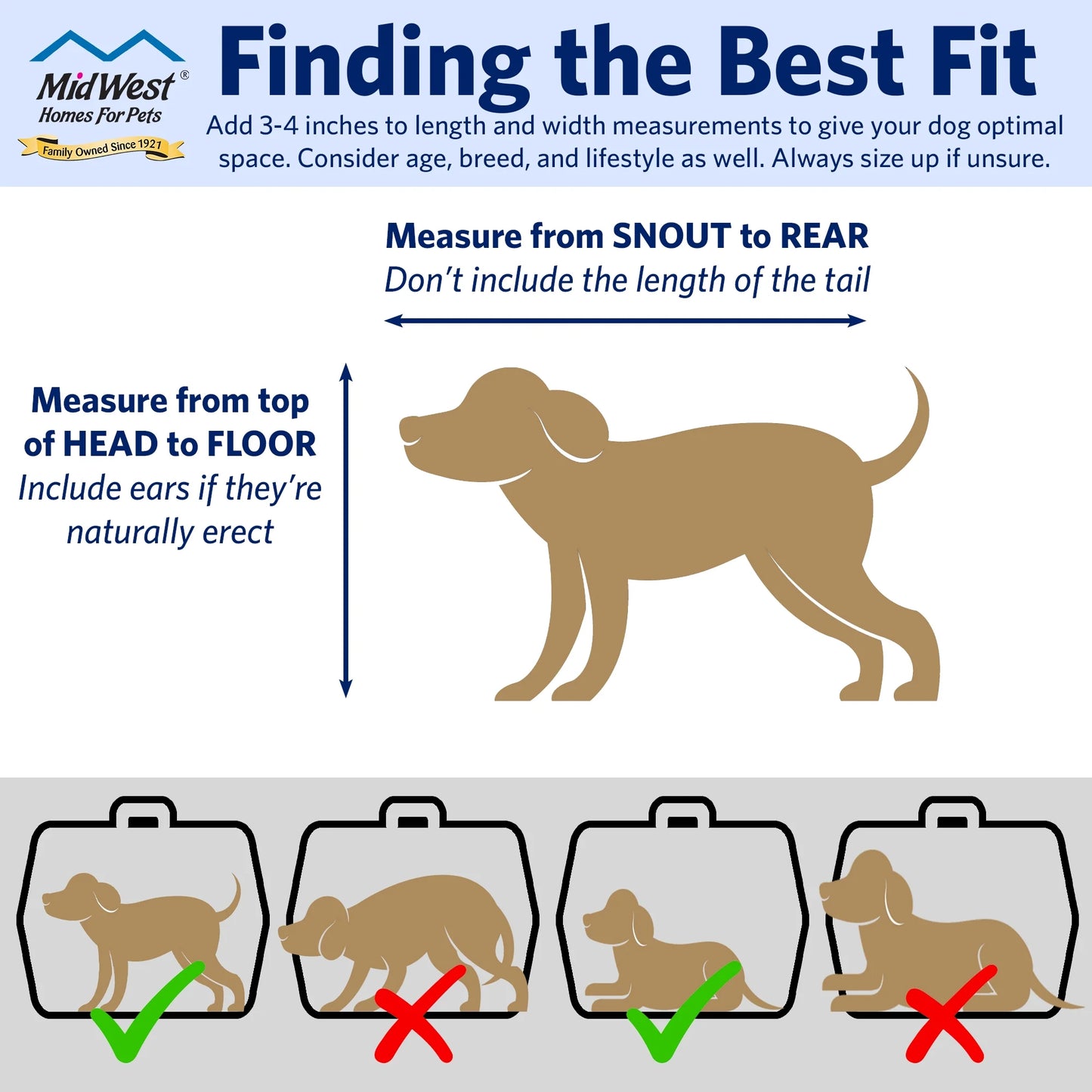 19 Inch Spree Travel Pet Carrier for Dog or Cat with Steel Door, Blue