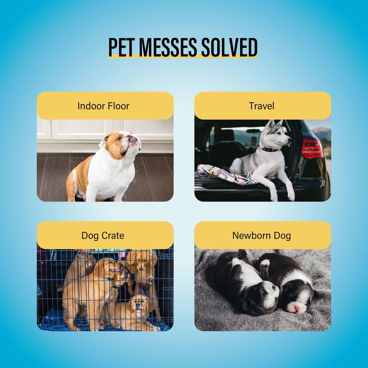 Best Value 22"X22" Dog Training Pads 50 Count